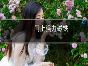 门上强力磁铁