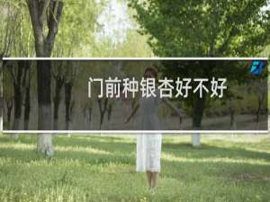 门前种银杏好不好
