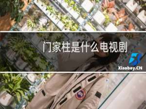 门家柱是什么电视剧