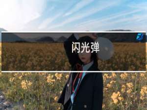 【闪光弹】免费闪光弹软件下载