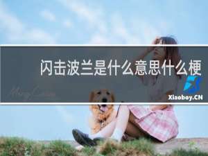 闪击波兰是什么意思什么梗