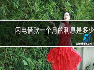 闪电借款一个月的利息是多少