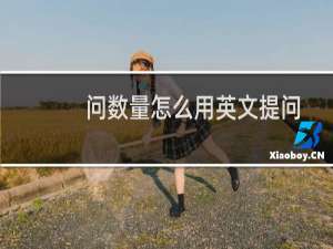 问数量怎么用英文提问