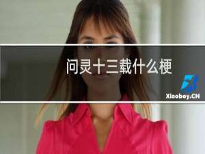 问灵十三载什么梗