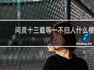 问灵十三载等一不归人什么梗？问灵十三载等一不归人是什么意思什么梗