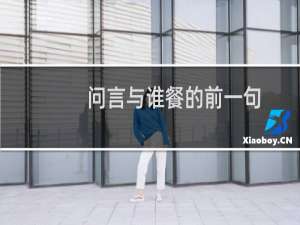 问言与谁餐的前一句（问言与谁餐的上一句是什么）