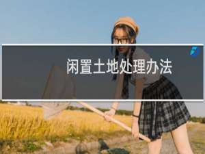闲置土地处理办法