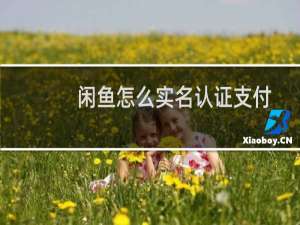 闲鱼怎么实名认证支付宝（支付宝实名认证怎么取消）