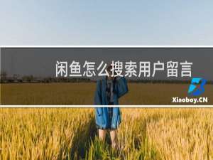 闲鱼怎么搜索用户留言（闲鱼怎么搜索用户）