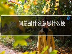 闸总是什么意思什么梗