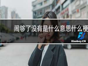 闹够了没有是什么意思什么梗