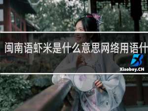 闽南语虾米是什么意思网络用语什么梗