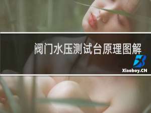 阀门水压测试台原理图解