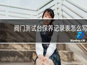 阀门测试台保养记录表怎么写