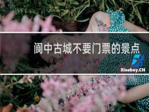 阆中古城不要门票的景点
