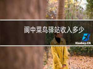 阆中菜鸟驿站收入多少