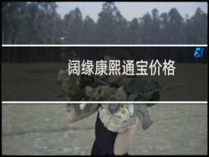 阔缘康熙通宝价格