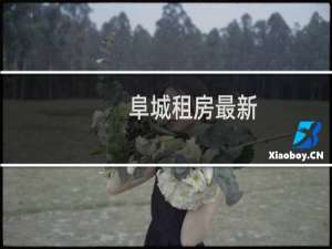 阜城租房最新