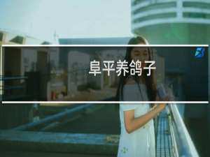 阜平养鸽子