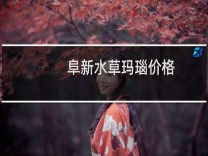 阜新水草玛瑙价格
