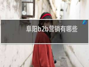 阜阳b2b营销有哪些