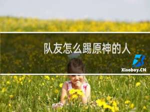 队友怎么踢原神的人