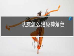 队友怎么踢原神角色