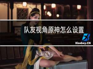 队友视角原神怎么设置
