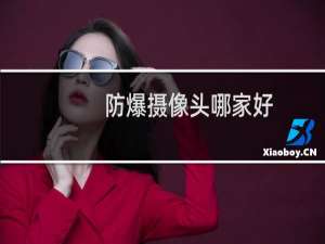 防爆摄像头哪家好