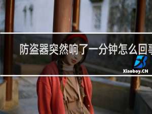 防盗器突然响了一分钟怎么回事