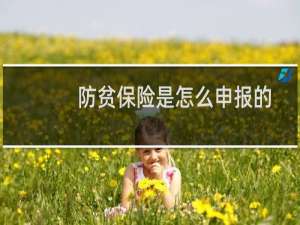 防贫保险是怎么申报的