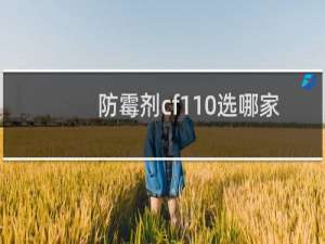 防霉剂cf110选哪家