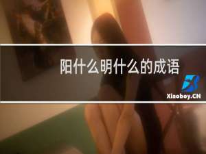 阳什么明什么的成语