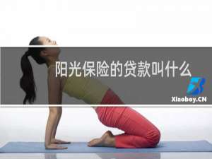 阳光保险的贷款叫什么