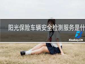 阳光保险车辆安全检测服务是什么