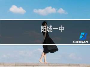 阳城一中