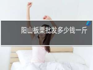 阳山板栗批发多少钱一斤