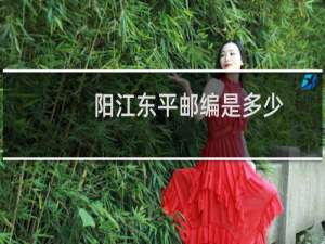 阳江东平邮编是多少
