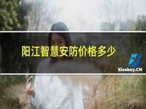 阳江智慧安防价格多少