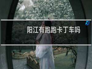 阳江有跑跑卡丁车吗
