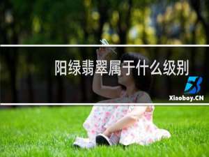 阳绿翡翠属于什么级别