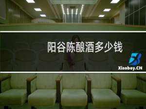 阳谷陈酿酒多少钱