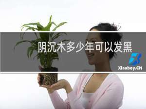 阴沉木多少年可以发黑