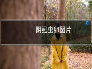 阴虱虫卵图片（阴虱小颗粒虫卵是什么）