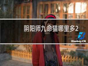 阴阳师九命猫哪里多2021（九命猫速刷位置分享）