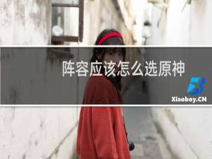 阵容应该怎么选原神