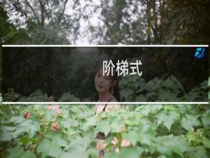 阶梯式