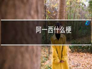 阿一西什么梗