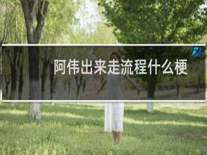 阿伟出来走流程什么梗