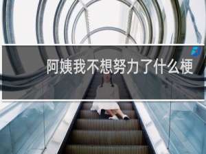 阿姨我不想努力了什么梗？阿姨我不想努力了是什么意思什么梗